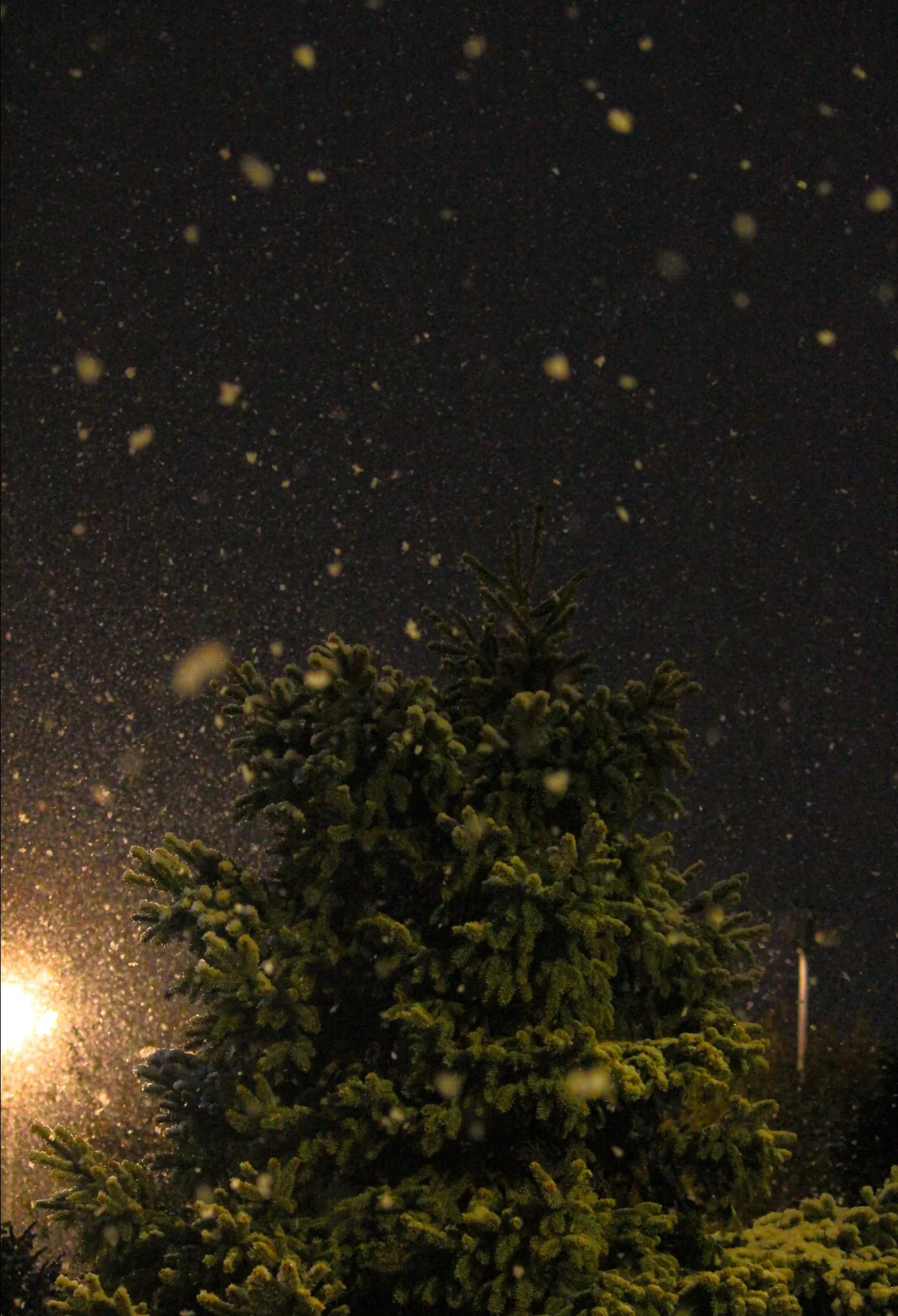 Snowfall In Indianapolis